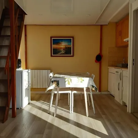 Climatise 4 Places De 25 M2 Avec Mezzanine, Terrasse 阿格德